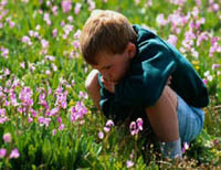 Fotografía de un niño sentado en un campo de flores